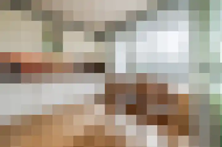 Drossaardstraat 61 Geldrop thumbnail 4