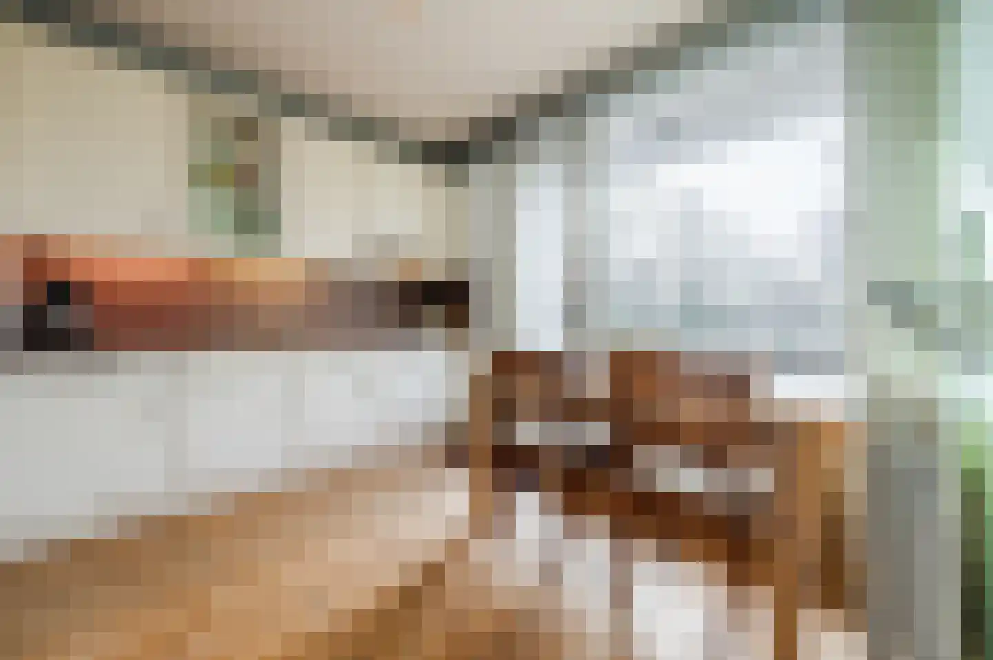 Drossaardstraat 61 Geldrop thumbnail 4