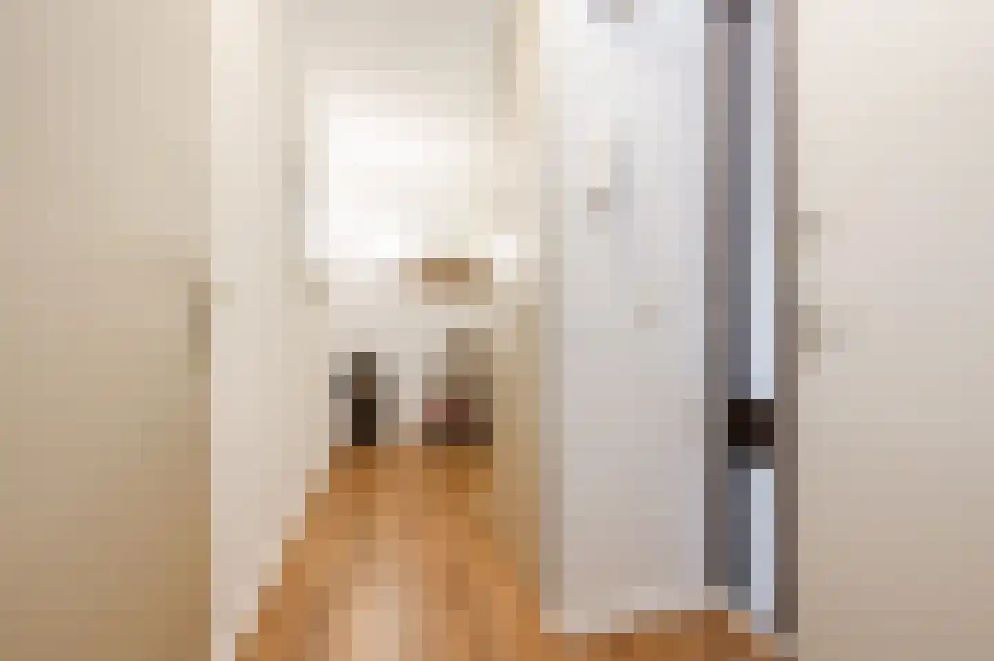 Drossaardstraat 61 Geldrop thumbnail 8