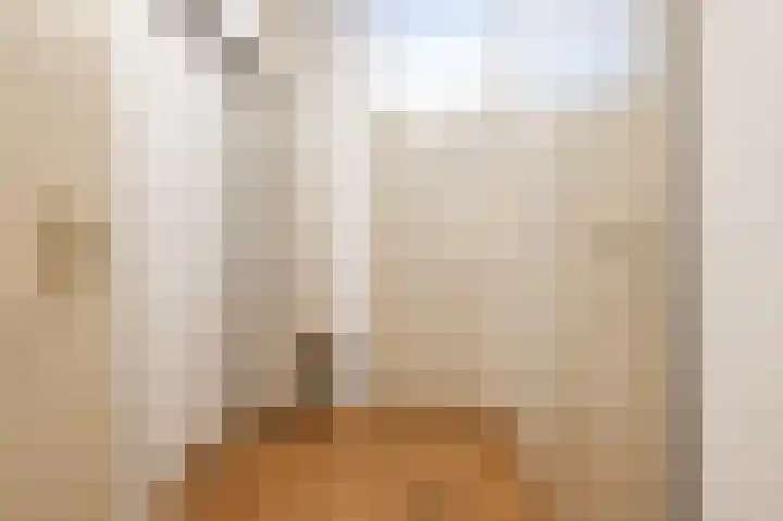 Drossaardstraat 61 Geldrop thumbnail 9