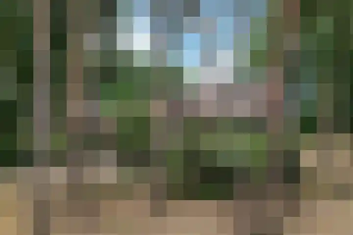 Drossaartweg 5 Montfort thumbnail 38