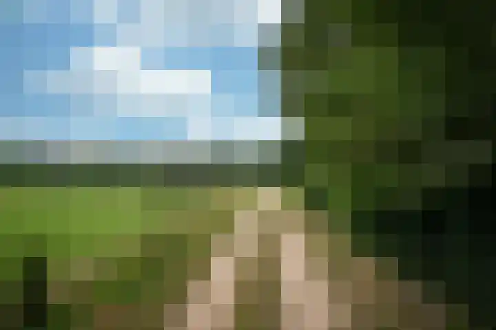 Drossaartweg 5 Montfort thumbnail 46