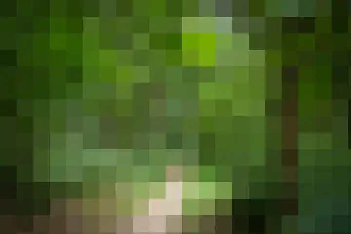 Drossaartweg 5 Montfort thumbnail 48