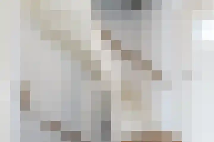 Drossaert de Limpensplein 6 Klimmen thumbnail 17