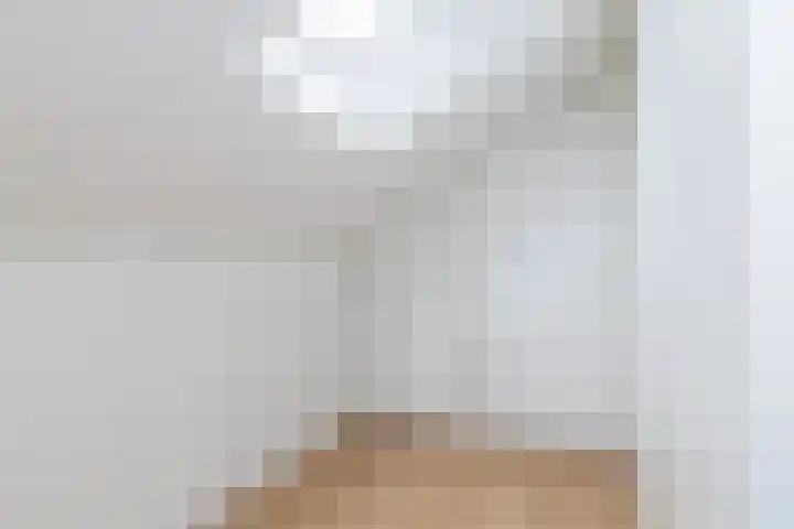 Drossaert de Limpensplein 6 Klimmen thumbnail 20