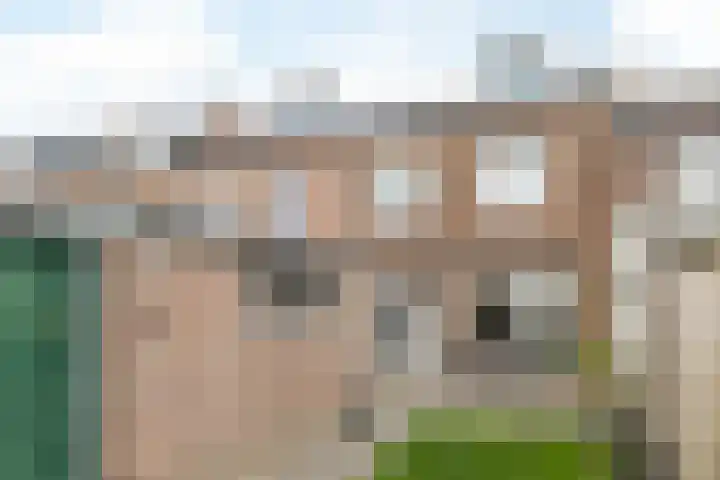 Drossaert de Limpensplein 6 Klimmen thumbnail 21