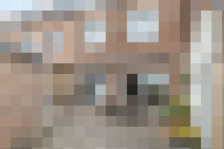 Drossaert de Limpensplein 6 Klimmen thumbnail 22