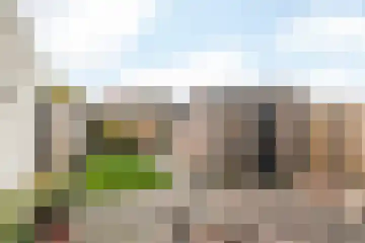 Drossaert de Limpensplein 6 Klimmen thumbnail 24