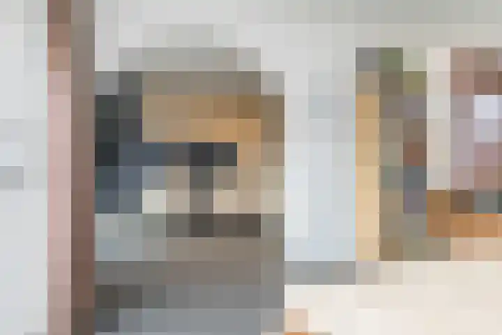 Drossaert de Limpensplein 6 Klimmen thumbnail 6