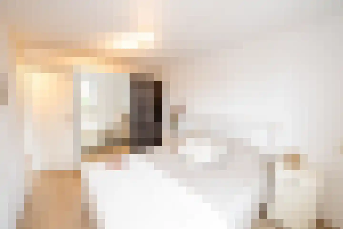 Drossaertstraat 17 Geulle thumbnail 25