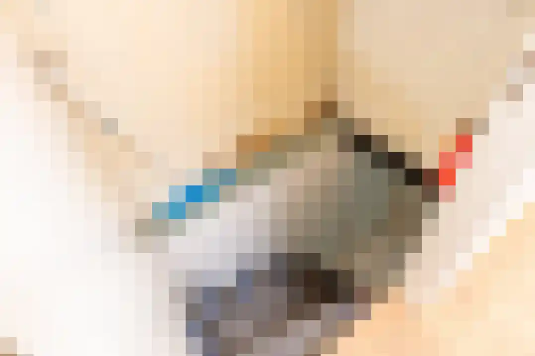 Drossaertstraat 17 Geulle thumbnail 32