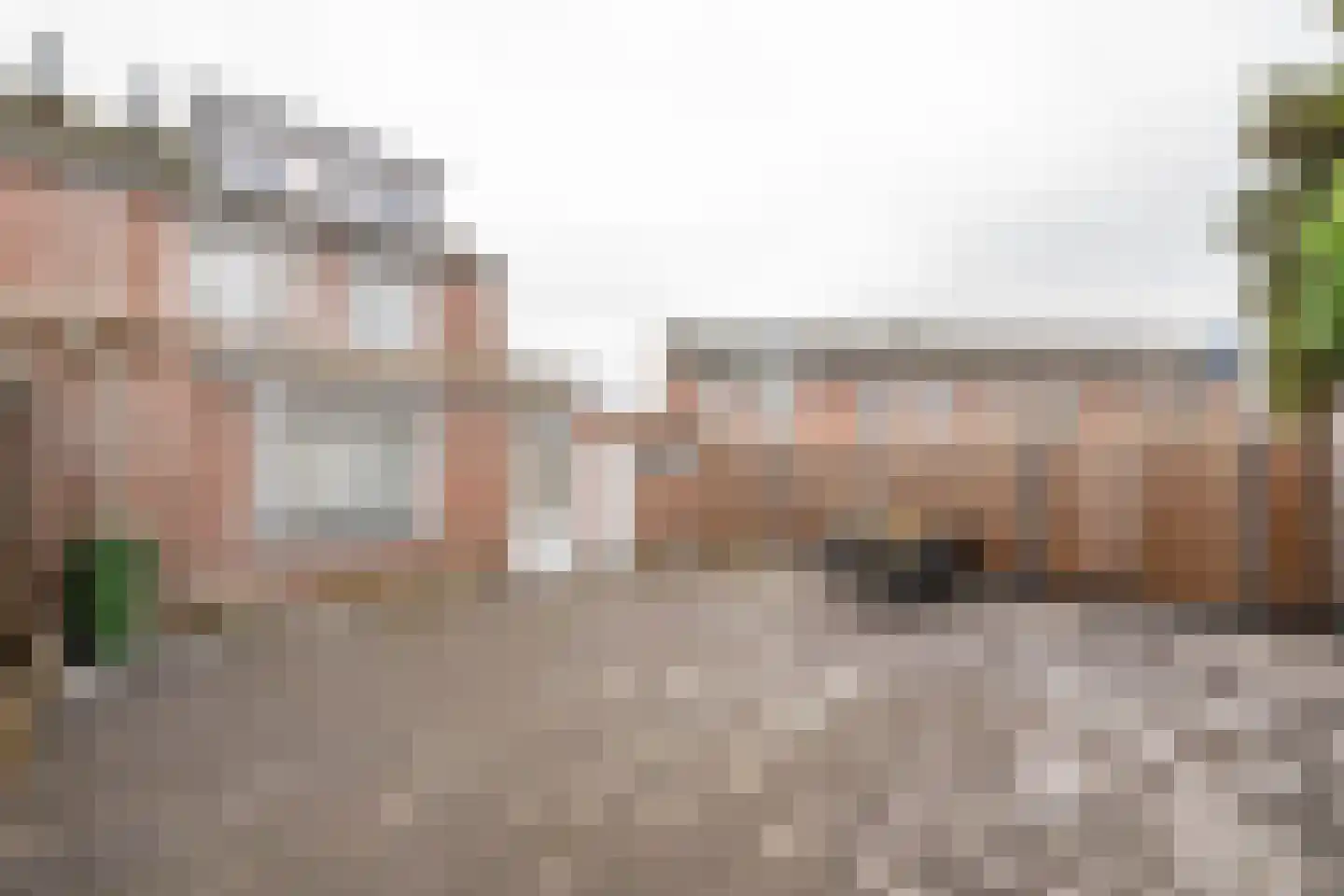 Drossaertstraat 17 Geulle thumbnail 36