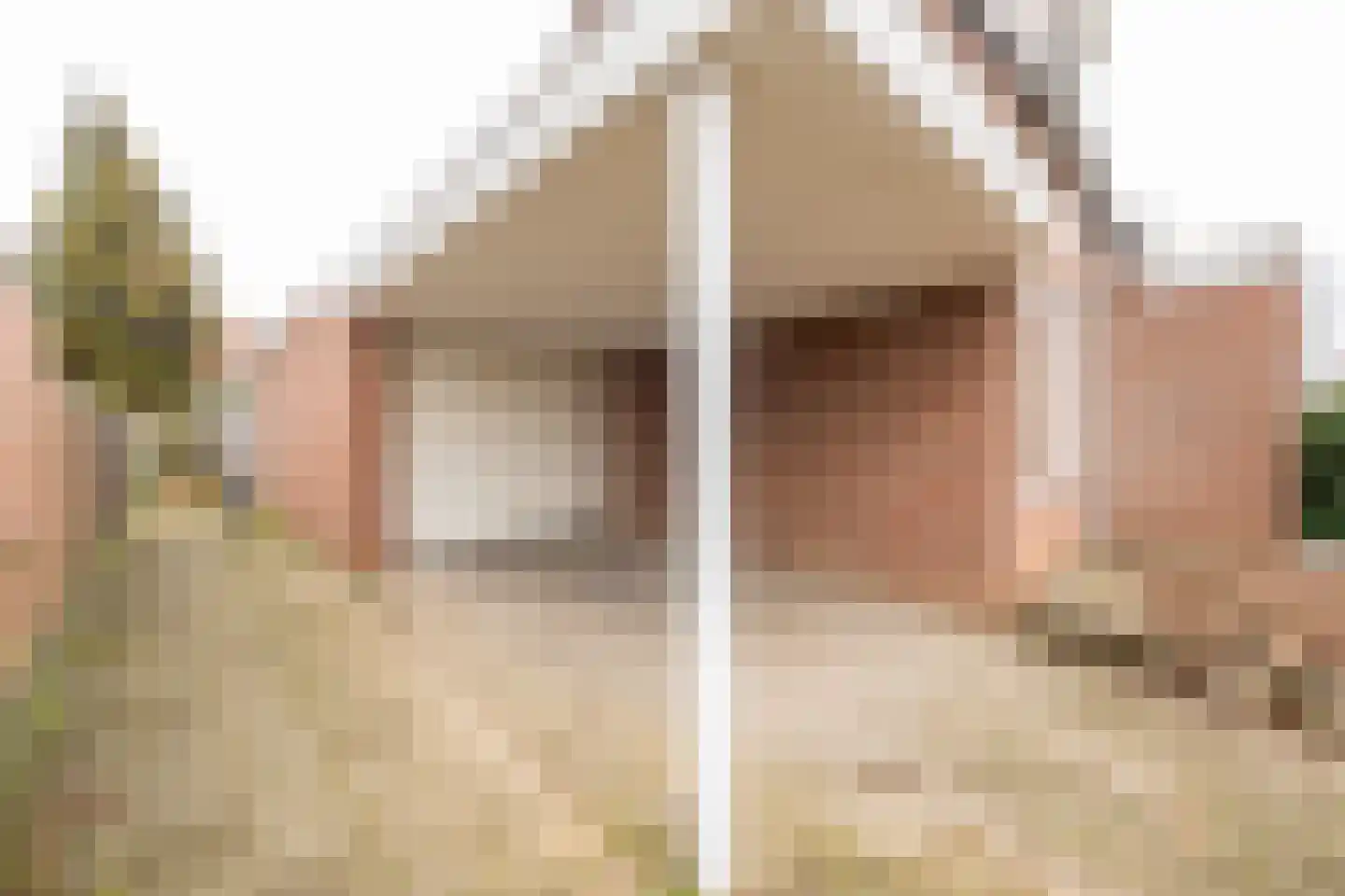 Drossaertstraat 17 Geulle thumbnail 40