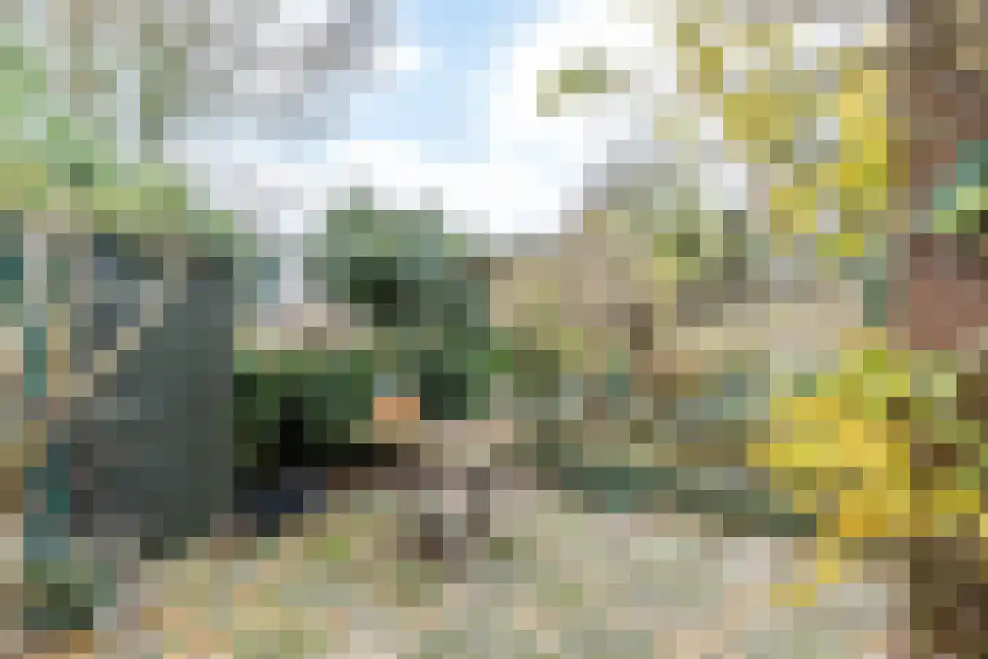 Drossaertweide 1 Oirsbeek thumbnail 38