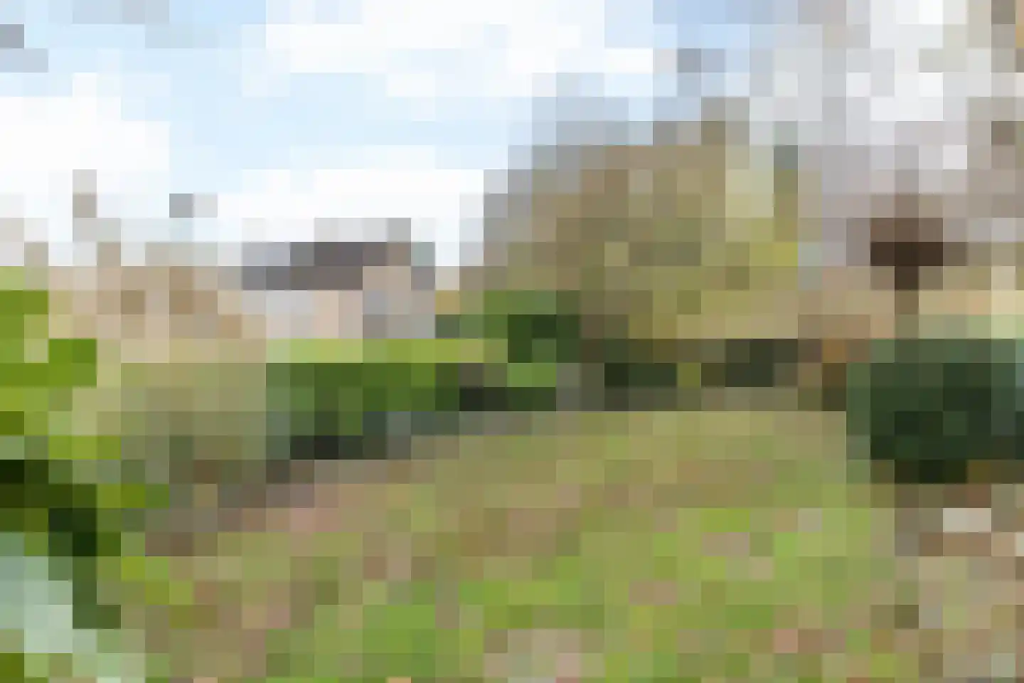 Drossaertweide 1 Oirsbeek thumbnail 40