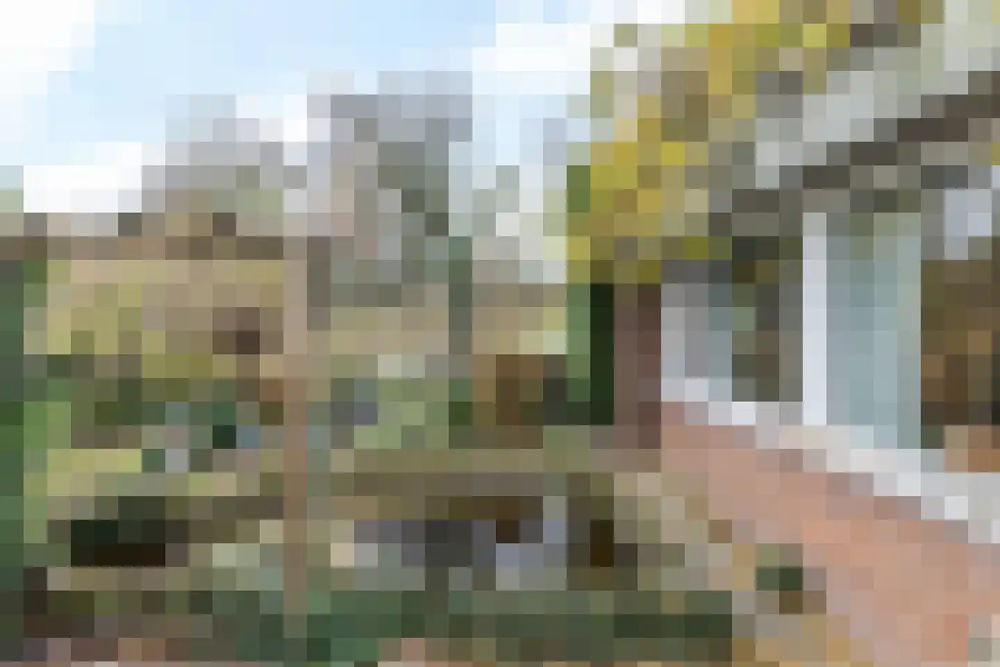 Drossaertweide 1 Oirsbeek thumbnail 42