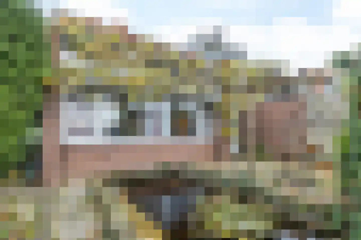 Drossaertweide 1 Oirsbeek thumbnail 43