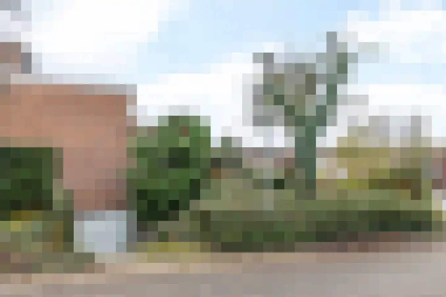 Drossaertweide 1 Oirsbeek thumbnail 46