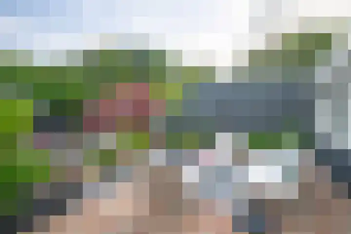 Drossaertweide 65 Oirsbeek thumbnail 24