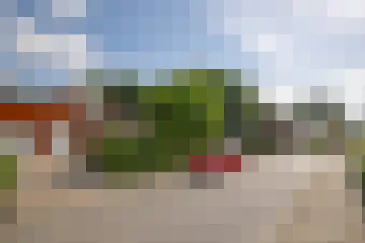 Drossaertweide 65 Oirsbeek thumbnail 29