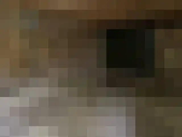 Drossard de la Courtstraat 11 Gemert thumbnail 24