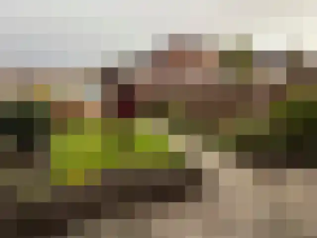 Drossard de la Courtstraat 11 Gemert thumbnail 4