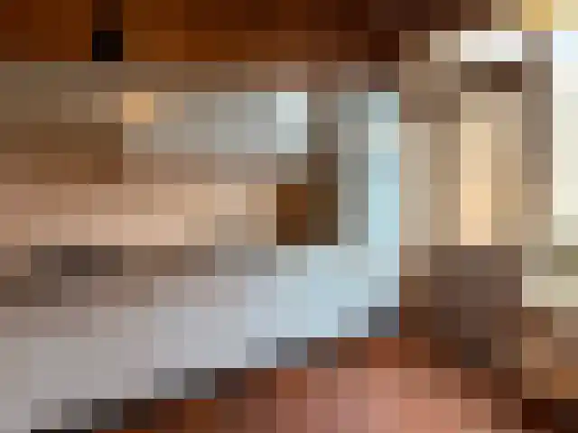 Drossard de la Courtstraat 11 Gemert thumbnail 9