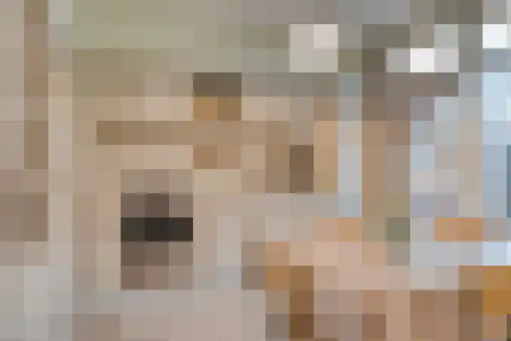 Drossard de la Courtstraat 7 Gemert thumbnail 10