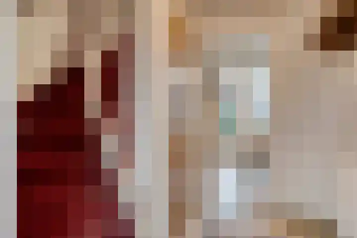 Drossard de la Courtstraat 7 Gemert thumbnail 13