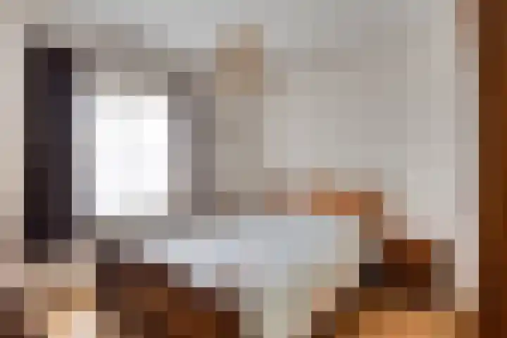 Drossard de la Courtstraat 7 Gemert thumbnail 15