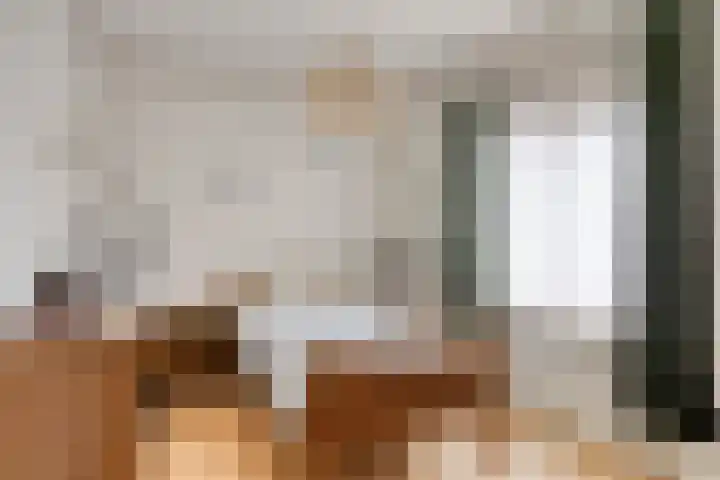 Drossard de la Courtstraat 7 Gemert thumbnail 17