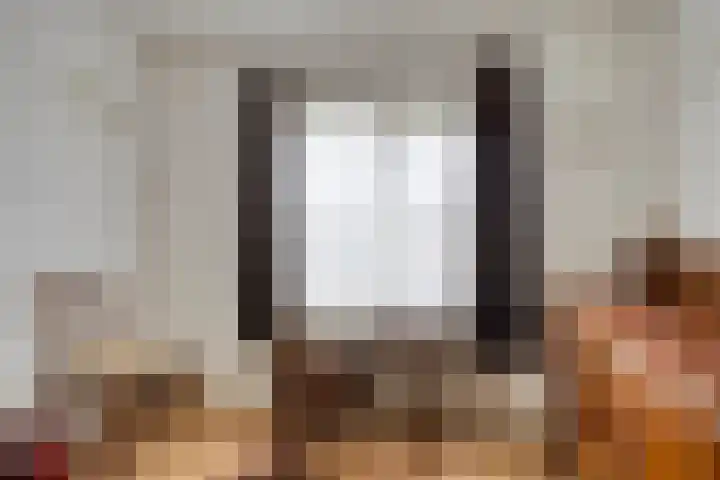 Drossard de la Courtstraat 7 Gemert thumbnail 18