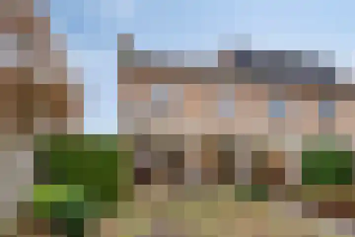 Drossard de la Courtstraat 7 Gemert thumbnail 22