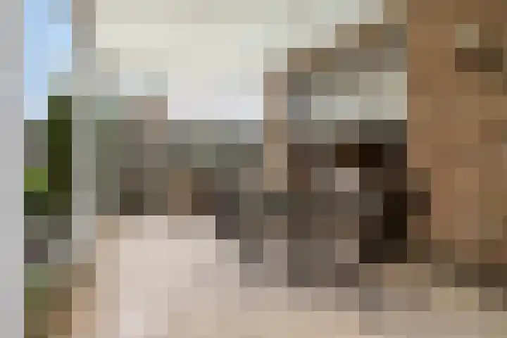 Drossard de la Courtstraat 7 Gemert thumbnail 23