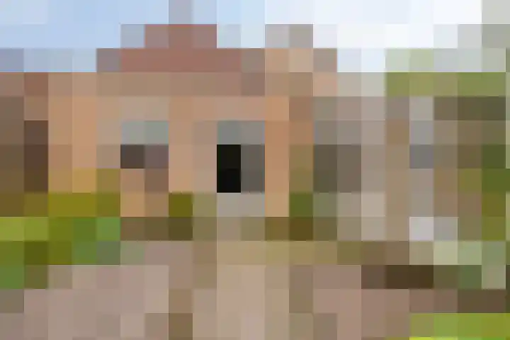Drossard de la Courtstraat 7 Gemert thumbnail 24