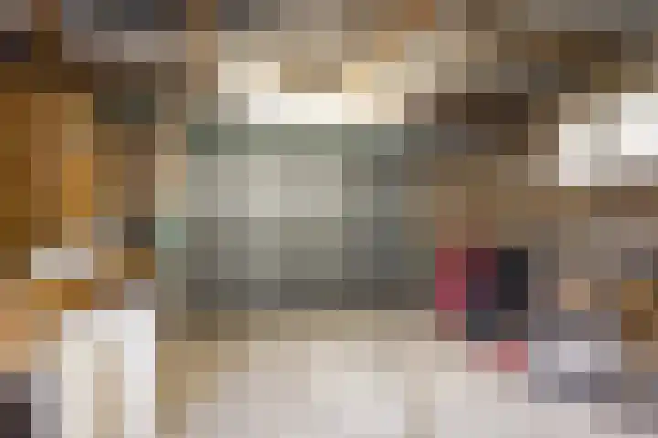 Drossard de la Courtstraat 7 Gemert thumbnail 25