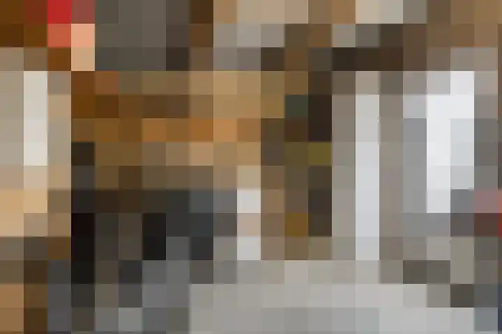 Drossard de la Courtstraat 7 Gemert thumbnail 26
