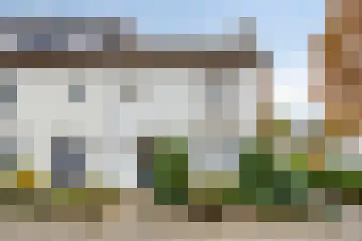Drossard de la Courtstraat 7 Gemert thumbnail 27