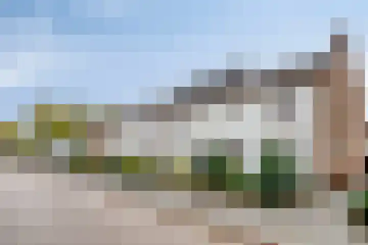 Drossard de la Courtstraat 7 Gemert thumbnail 28