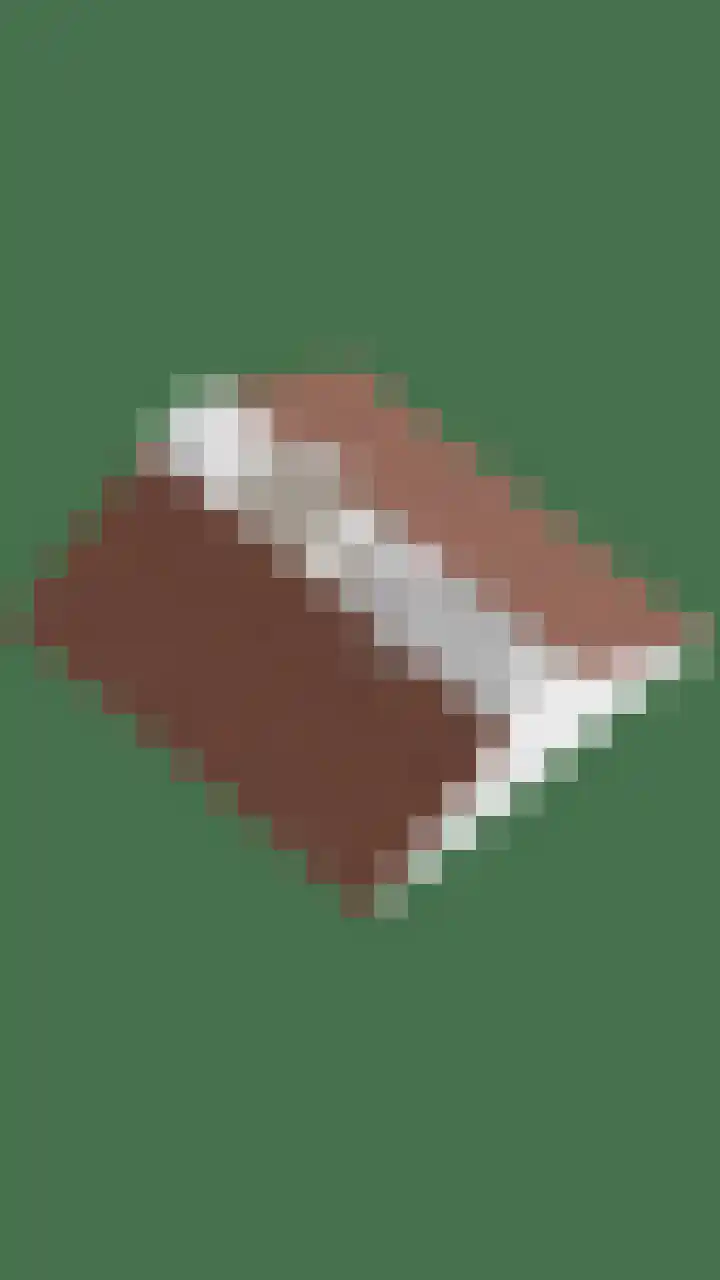 Drossard de la Courtstraat 7 Gemert thumbnail 36