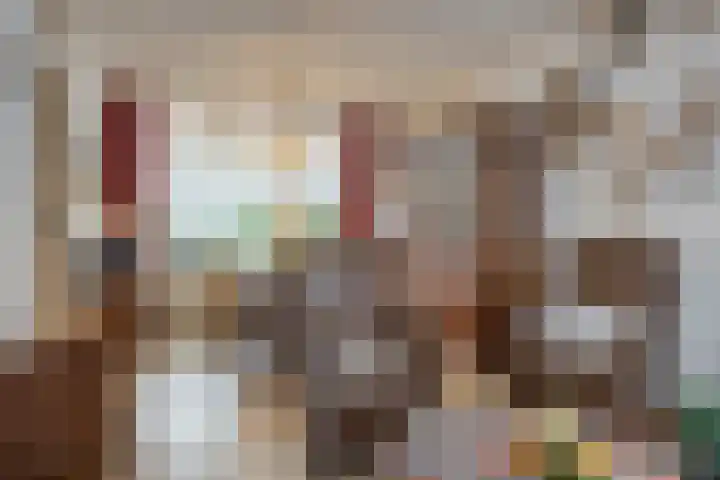 Drossard de la Courtstraat 7 Gemert thumbnail 4