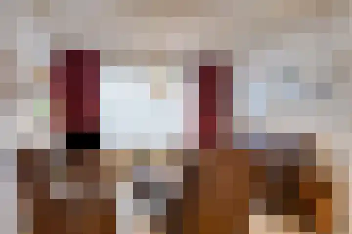 Drossard de la Courtstraat 7 Gemert thumbnail 5