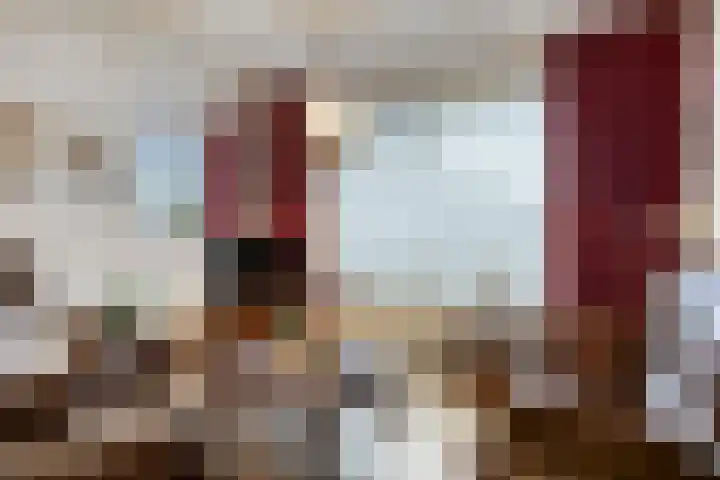 Drossard de la Courtstraat 7 Gemert thumbnail 6