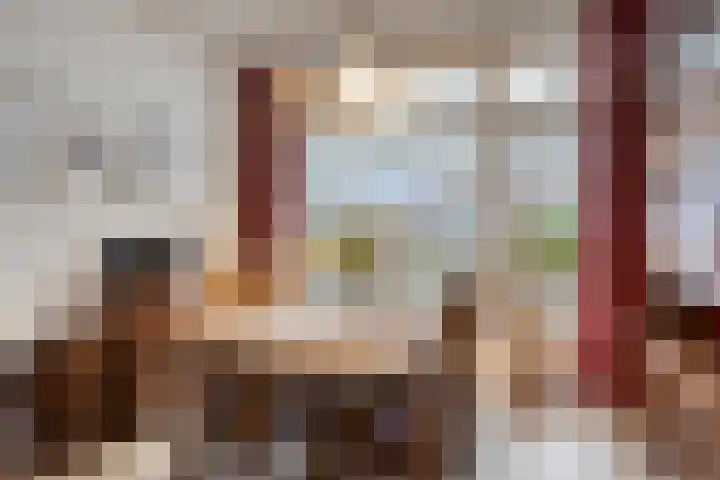 Drossard de la Courtstraat 7 Gemert thumbnail 7
