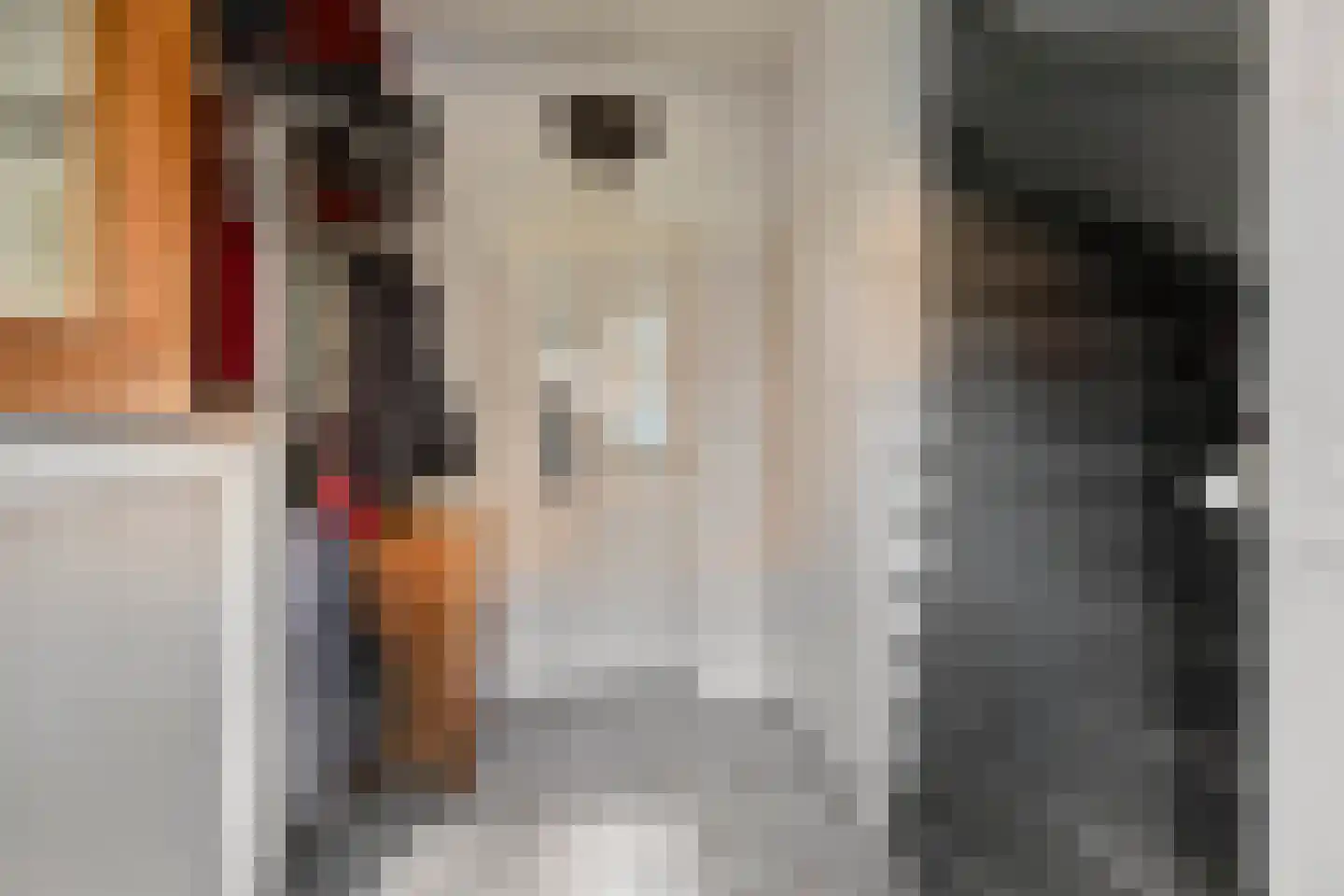 Drossard Meijerstraat 33 Gemert thumbnail 12