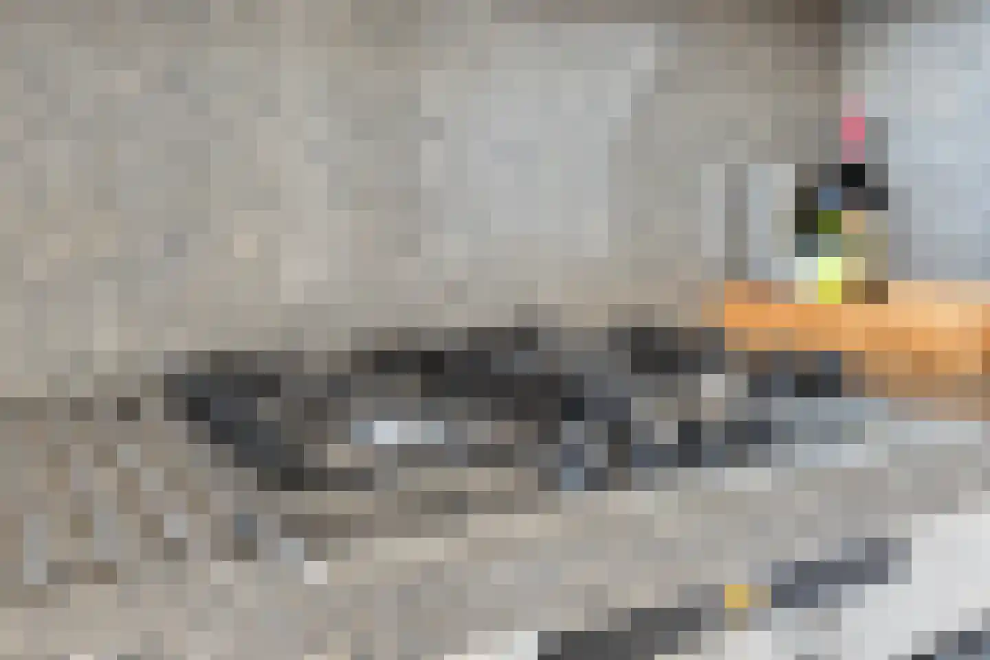 Drossard Meijerstraat 33 Gemert thumbnail 15