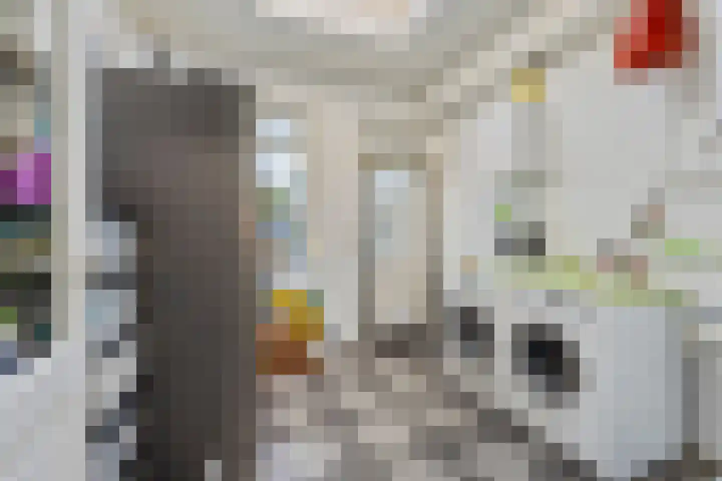 Drossard Meijerstraat 33 Gemert thumbnail 17