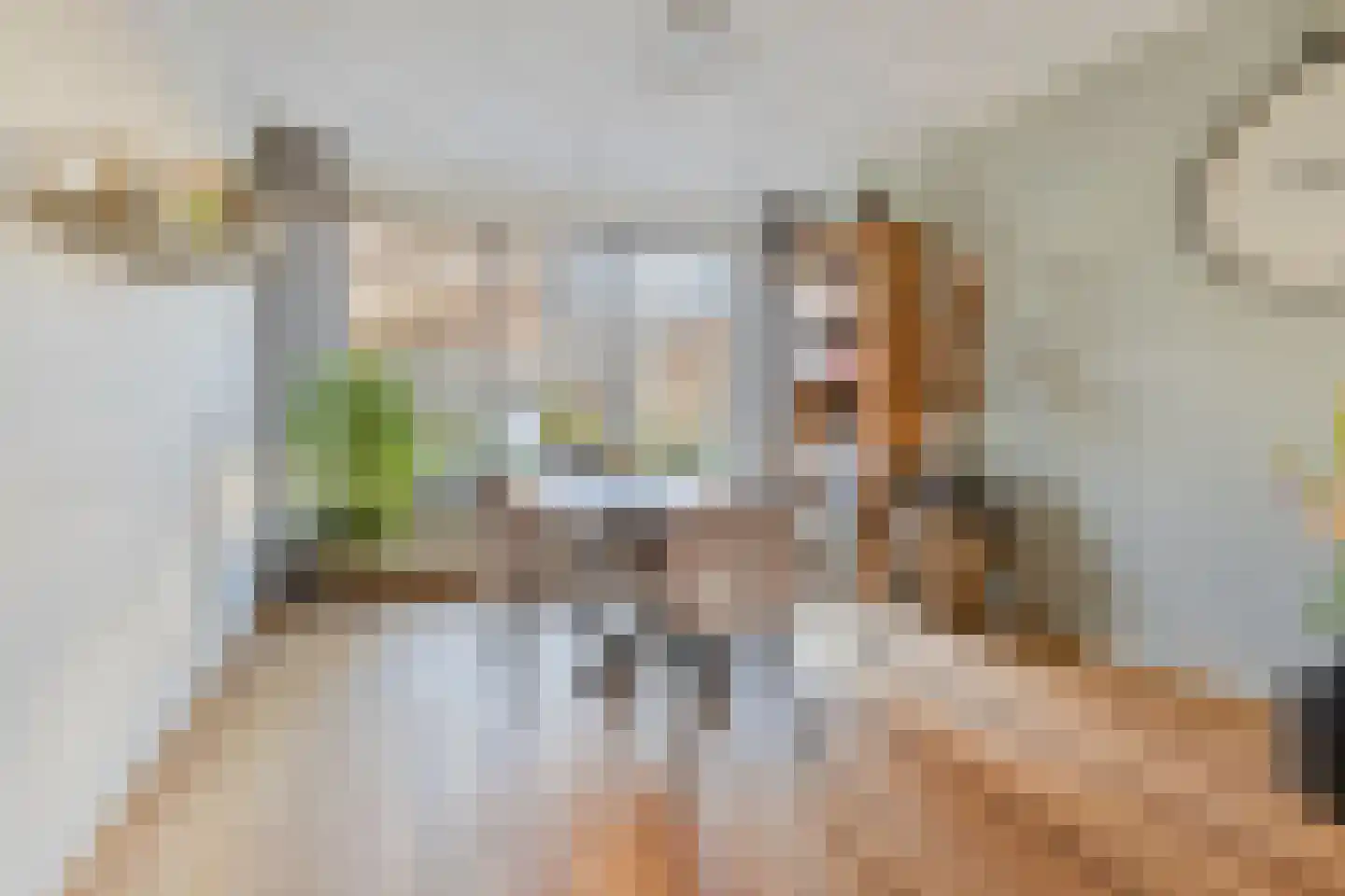Drossard Meijerstraat 33 Gemert thumbnail 18