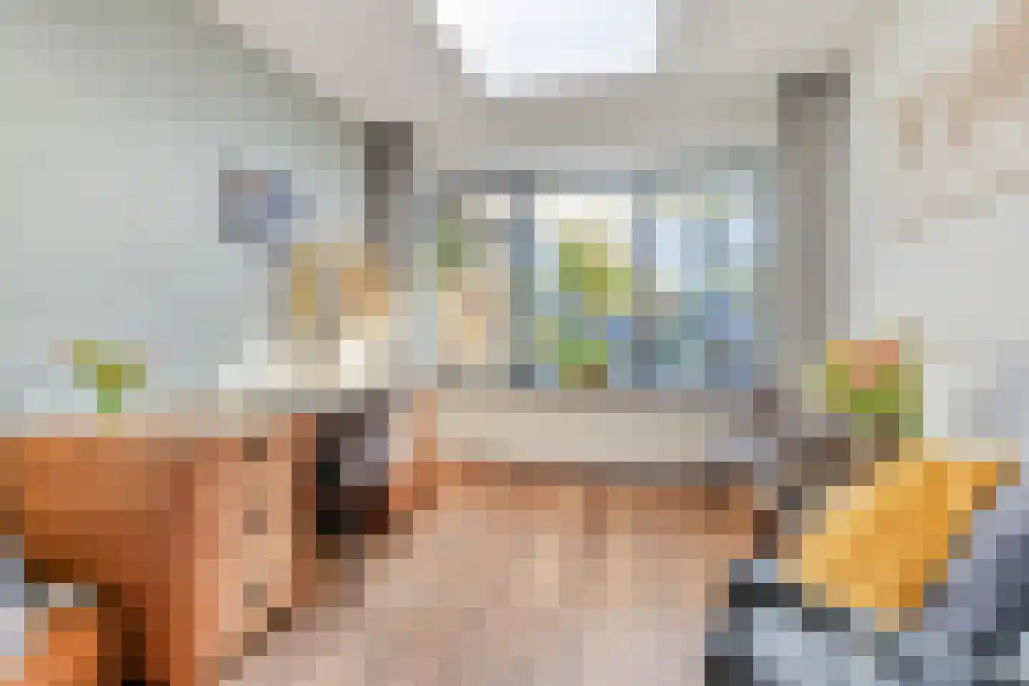 Drossard Meijerstraat 33 Gemert thumbnail 22