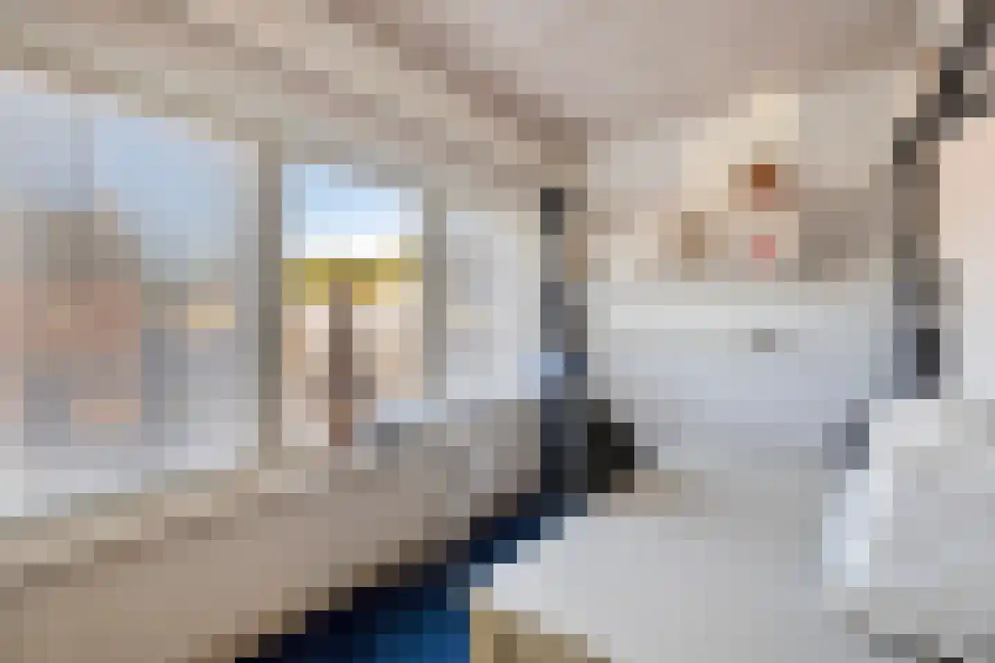 Drossard Meijerstraat 33 Gemert thumbnail 31